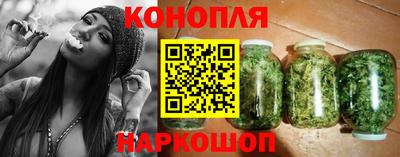 прущие грибы Майкоп