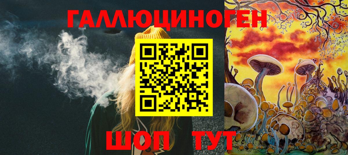 Кашира  Псилоцибиновые грибы Psilocybe  Вход с VPN 
